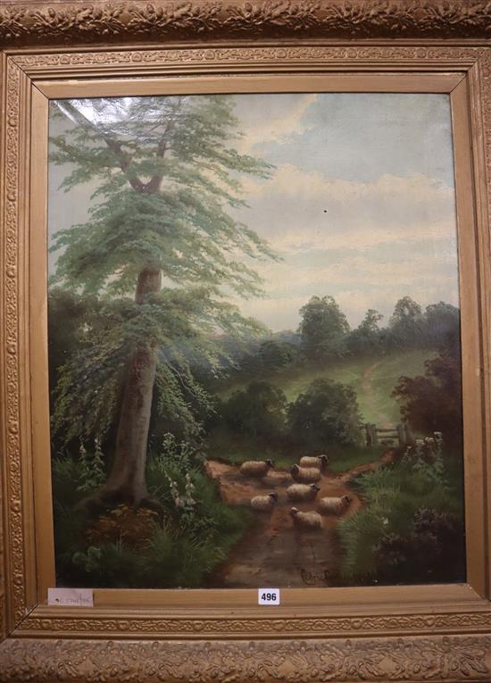 Cedric Gray, pair of oils on canvas, Sheep in landscapes, signed and dated 1903, 75 x 63cm